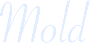 Mold